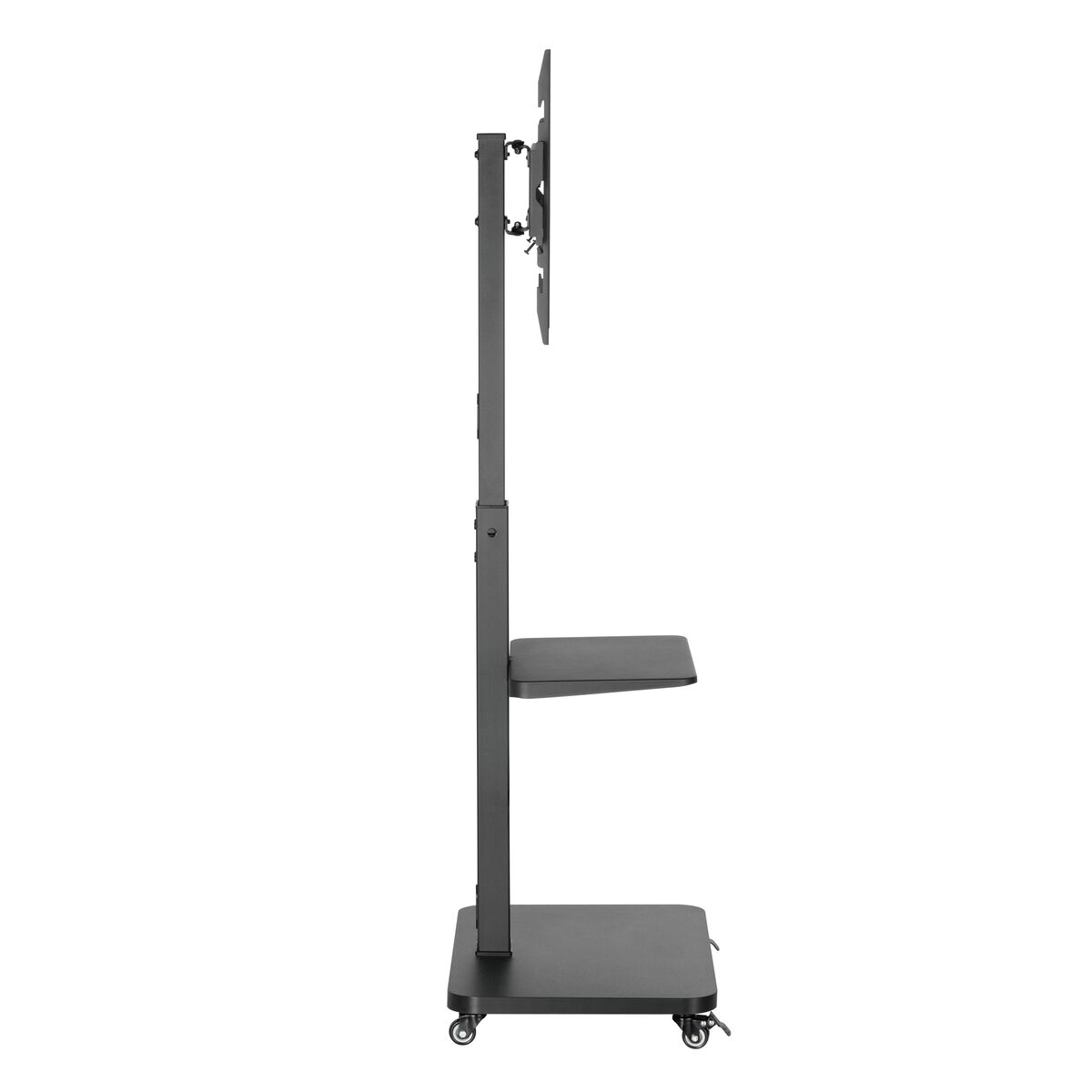 TV-fäste TM Electron 40 kg